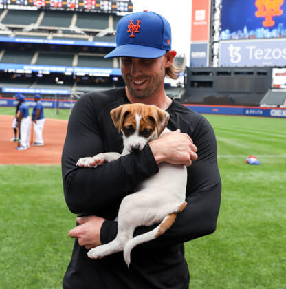 The Mets celebrated Labor Day by inviting fans to bring their dogs